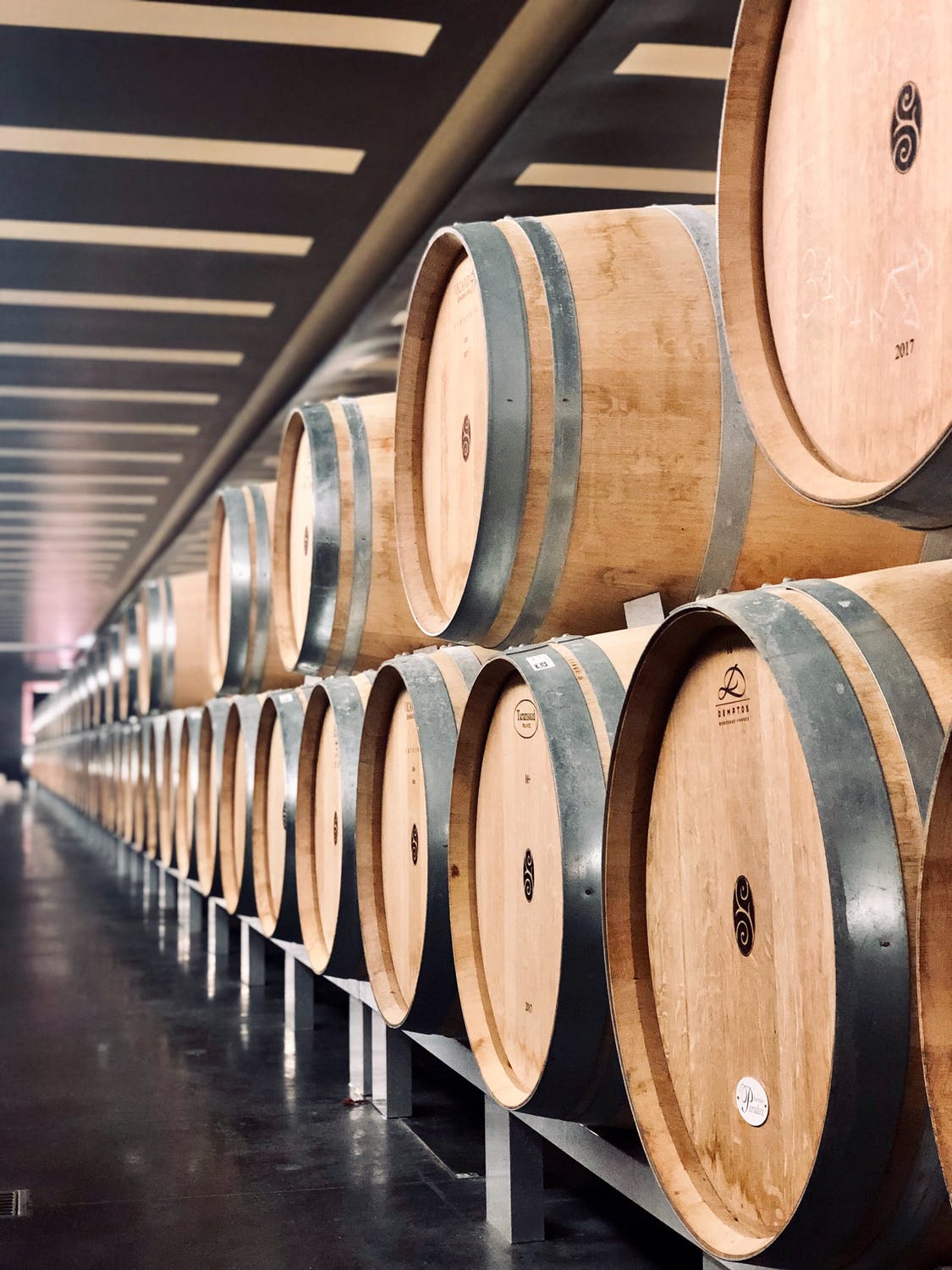 Viticulture / Viniculture